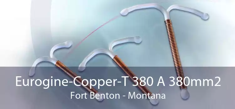 Eurogine-Copper-T 380 A 380mm2 Fort Benton - Montana